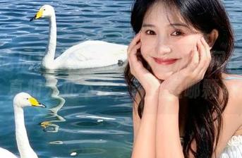 惊呆！点开51吃瓜官网传送门，真相无处不在，究竟是哪颗瓜？