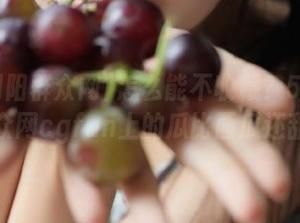 怎么能不收藏？51朝阳群众网cgfun上的瓜比西瓜还甜！