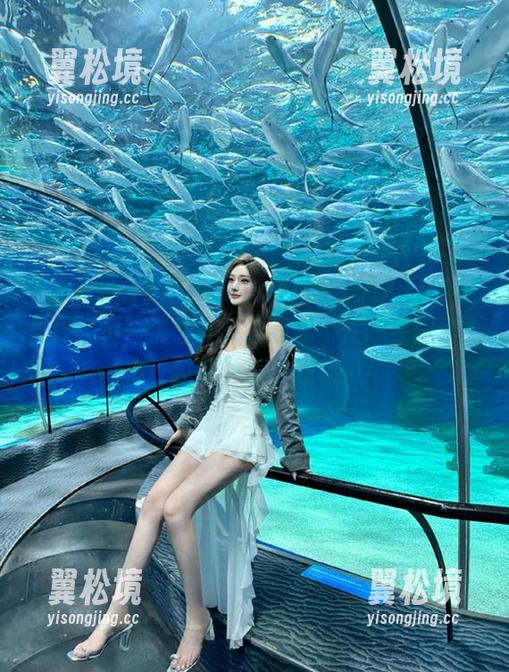 “www.17@”的入口仿佛是通往另一个世界，让我忍不住想要探索更多，哎呀，小心肥秋瓜！
