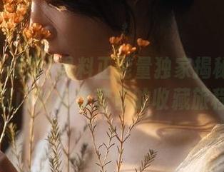 黑料正能量独家揭秘：隐秘传送门如何改变你的收藏旅程？