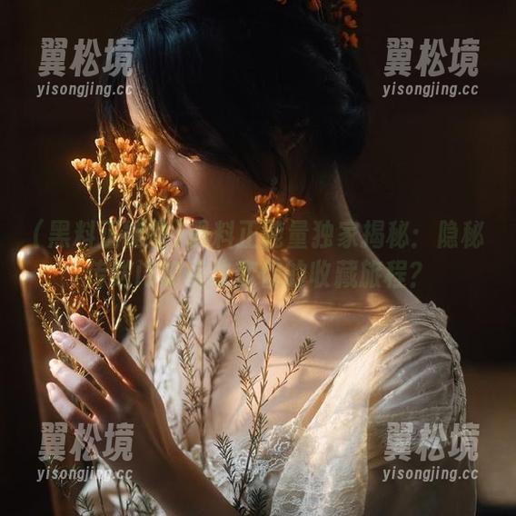 黑料正能量独家揭秘：隐秘传送门如何改变你的收藏旅程？