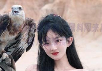 在线吃瓜导航，黑料网来解锁新的八卦维度！