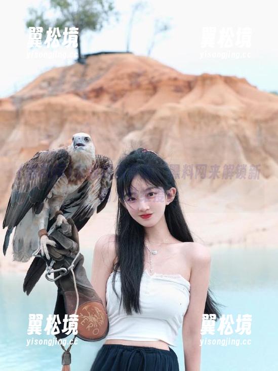 在线吃瓜导航，黑料网来解锁新的八卦维度！